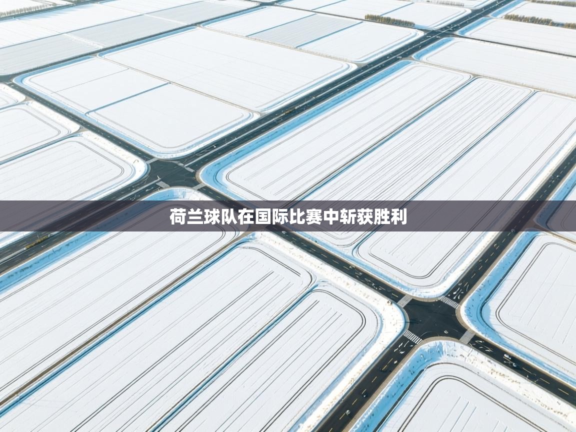 荷兰球队在国际比赛中斩获胜利  第2张