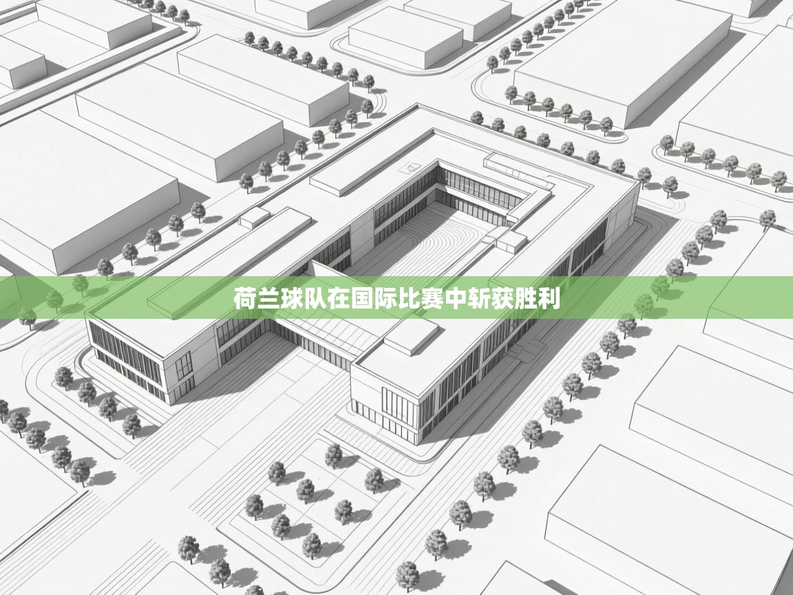 荷兰球队在国际比赛中斩获胜利  第1张