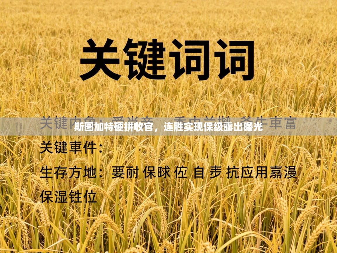 斯图加特硬拼收官，连胜实现保级露出曙光  第2张