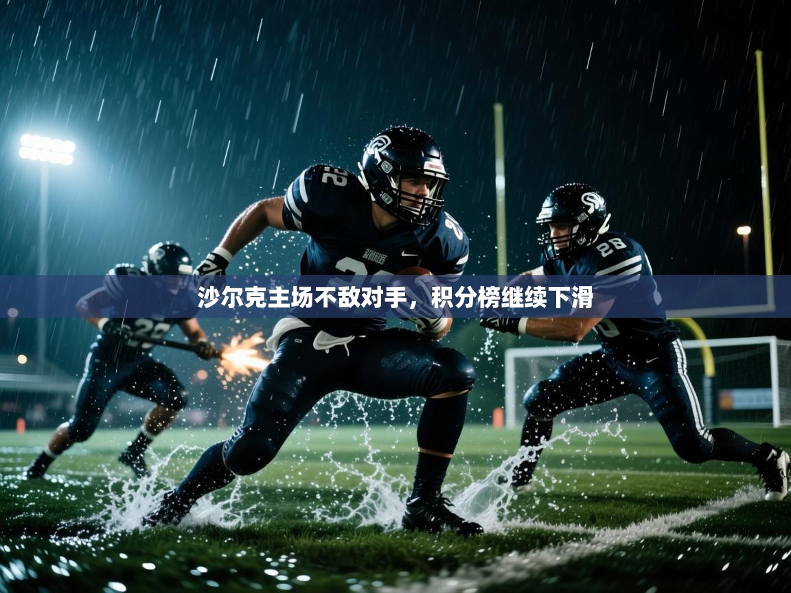 沙尔克主场不敌对手,积分榜继续下滑 第2张