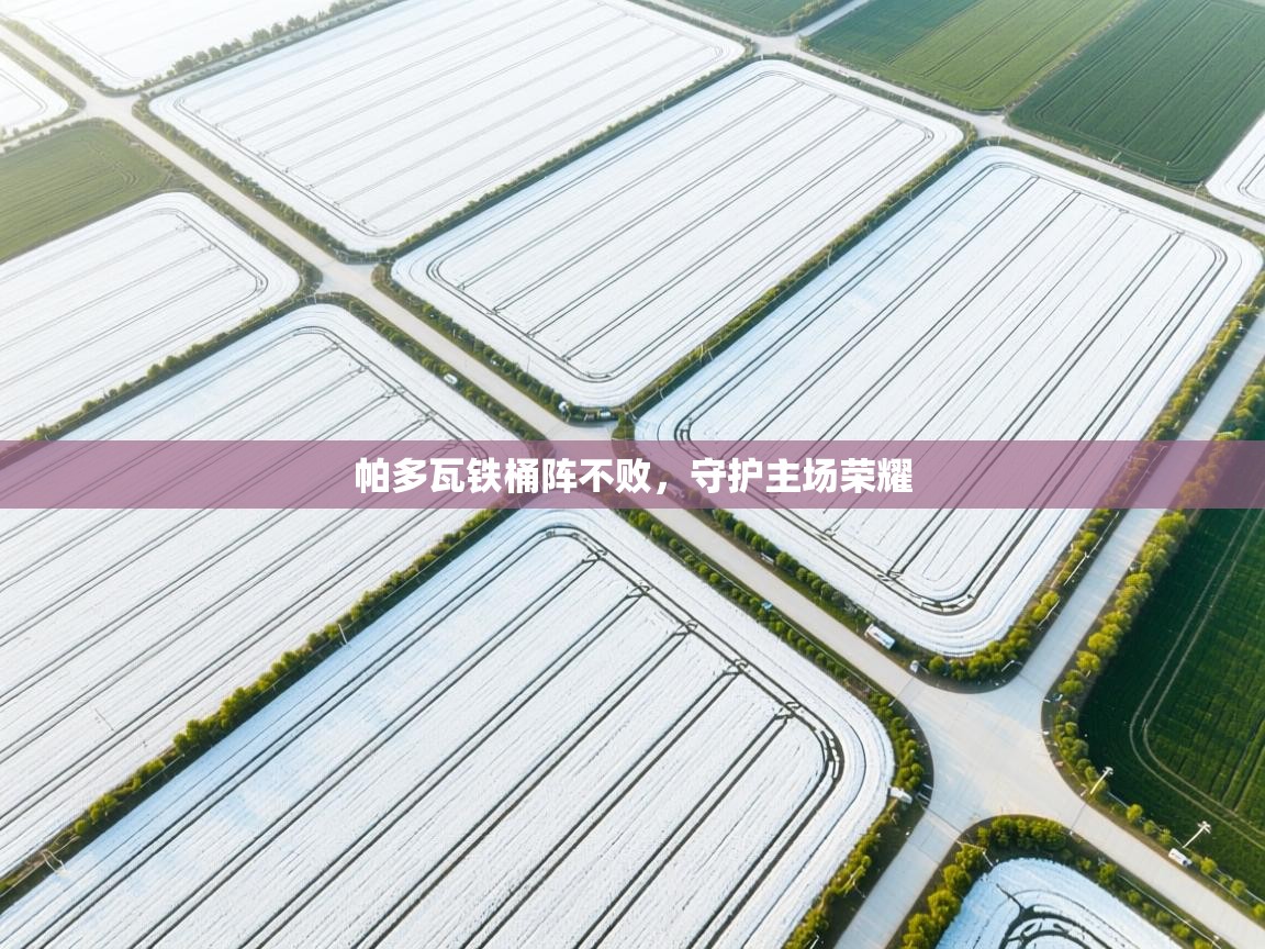 帕多瓦铁桶阵不败,守护主场荣耀 第1张