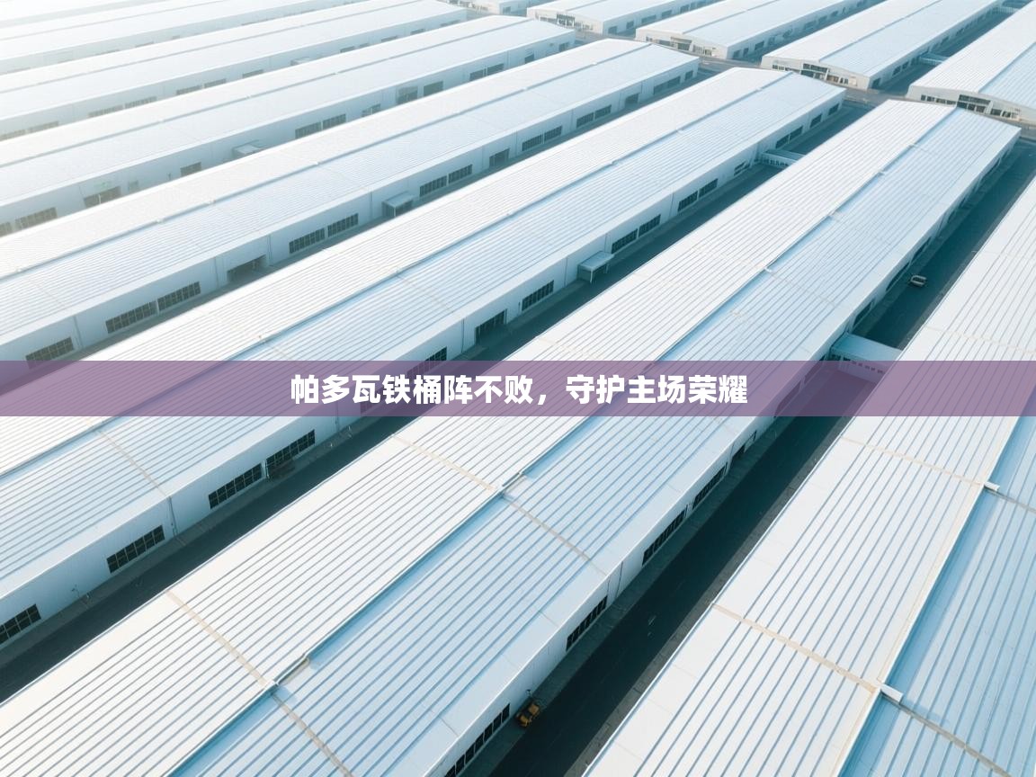 帕多瓦铁桶阵不败,守护主场荣耀 第2张